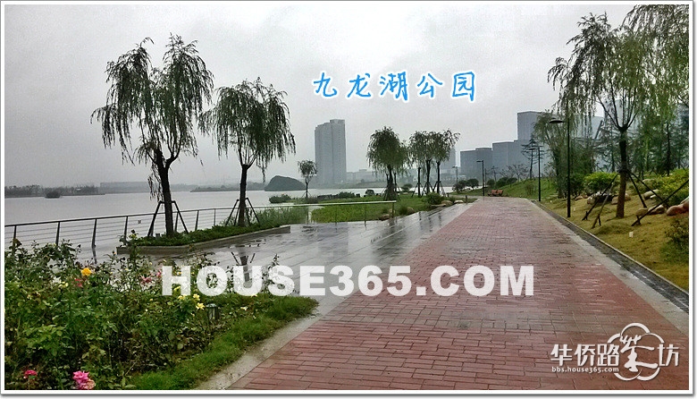 九龙湖公园景色欣赏 九龙湖北段(已基本建好)