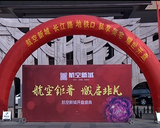 航空新城视频图