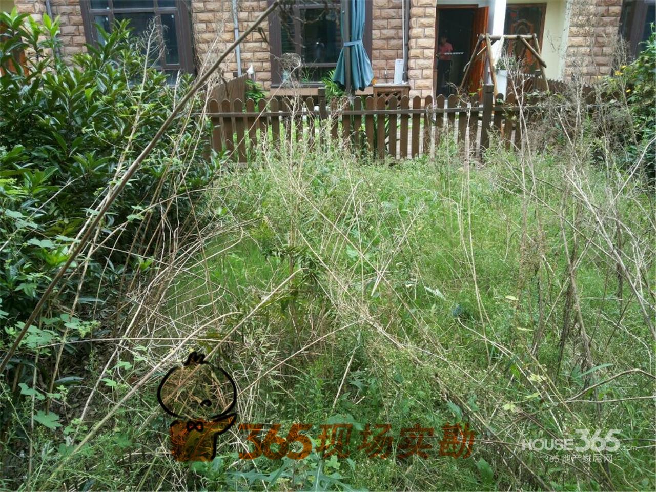 新北二手房薛家二手房【365农村设计】东渡别墅青城别墅急售米乘海派勘察10米图纸实地15图片