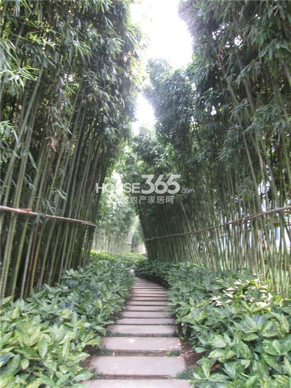 长雅中学怎么样