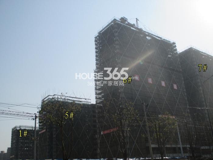 西溪海D组团的南面1、5、6、7号楼施工进程图（2015.2）