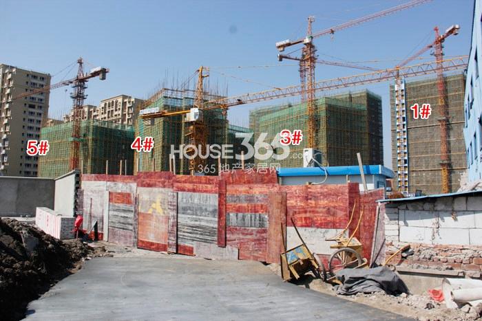 招商雍华府1-5号楼施工进度 2015年2月摄 