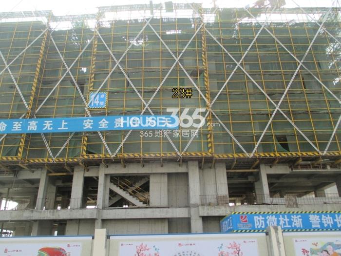 滨江万家名城二期23号楼施工进度 2015年2月摄