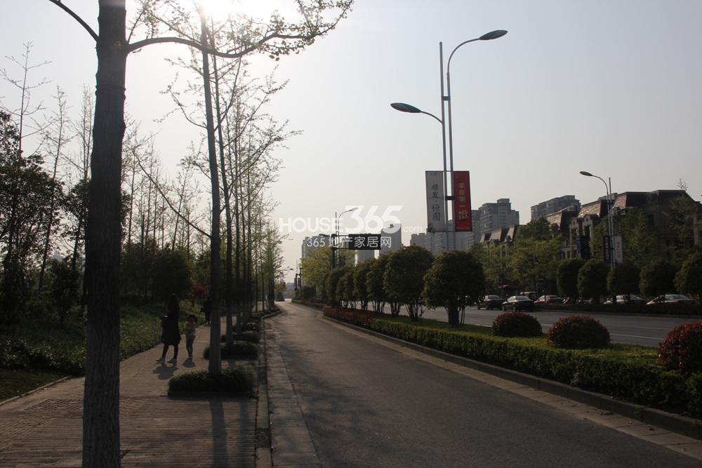顺发恒园周边配套——顺发建设二路