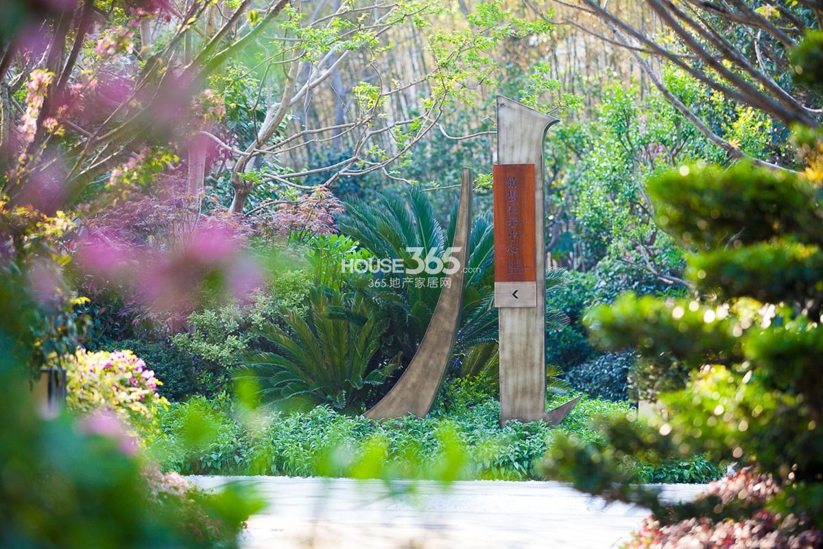 2015年4月底金隅学府项目示范区实景