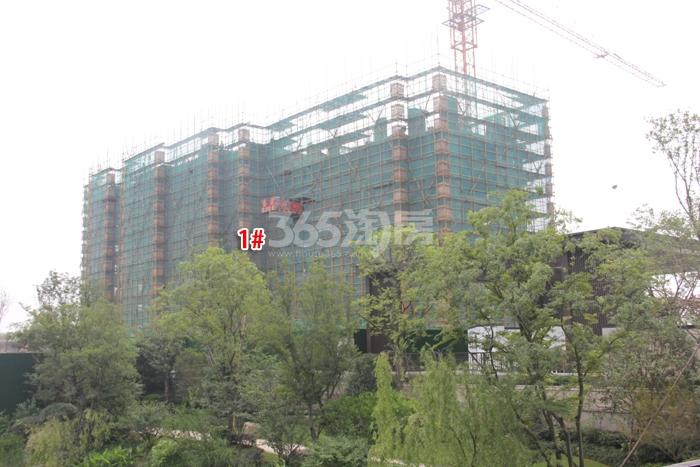 万科西庐项目二期1号楼施工进程图（2015.6）