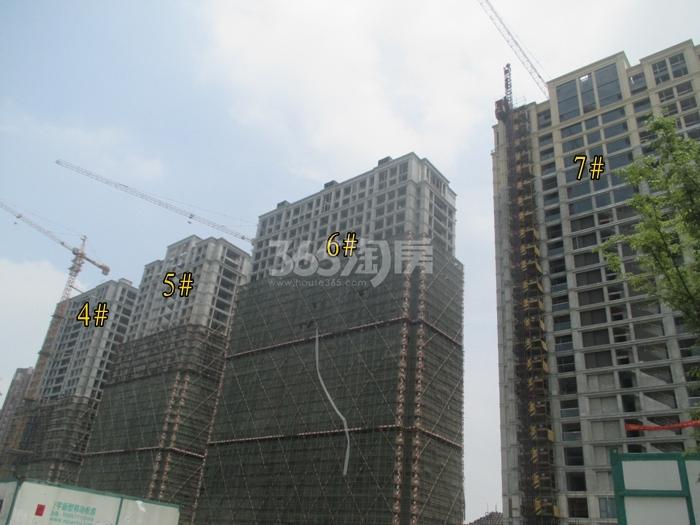 绿城莲园项目4—7号楼施工进程图（2015.6）