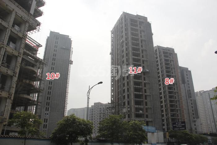 2015年7月滨江钱塘印象项目实景--8、10、11号楼