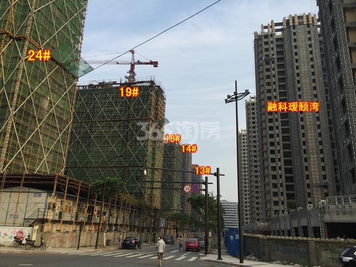 滨江万家名城二期13、14、18、19、24号楼施工实景图  2015年7月摄