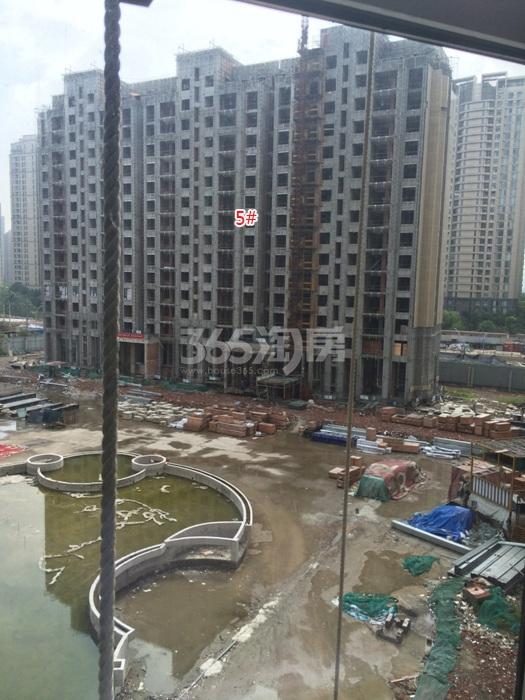 2015年9月滨江钱塘印象项目实景--5号楼