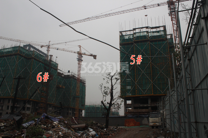 龙湖旭辉春江悦茗5、6号楼施工进度实景图 2015年11月摄