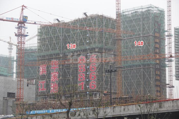 滨江华家池13、14号楼施工进度实景图 2015年11月摄