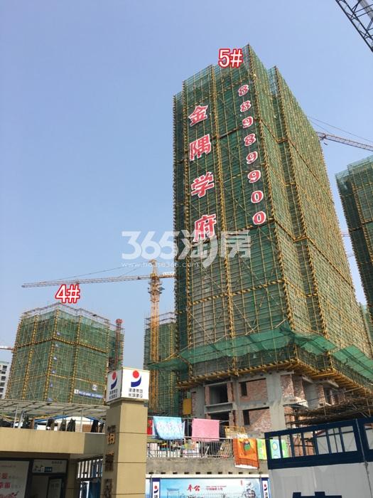 2016年2月金隅学府项目实景--4、5号楼