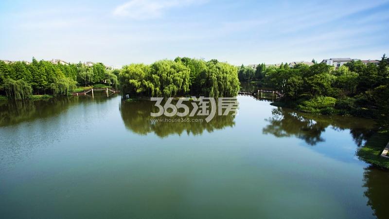 西溪风情花园观止苑景观实景图