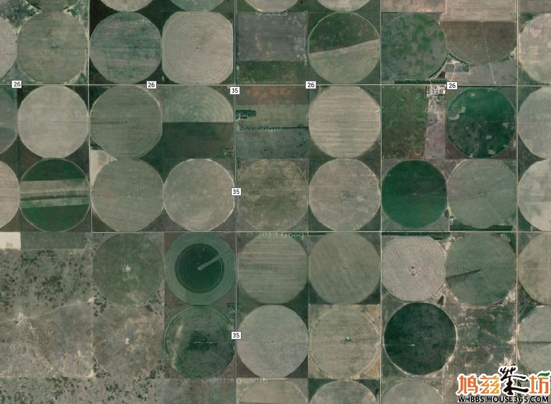 用卫星地图来看美国的农业和农村,大家觉得比
