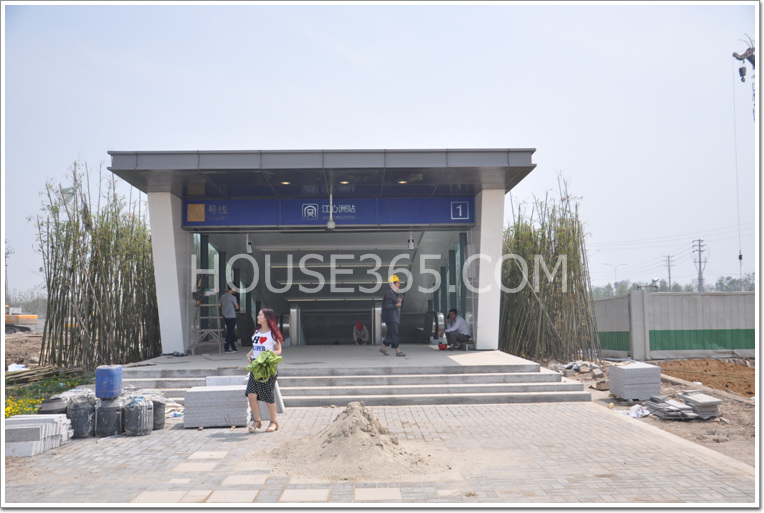 【江心洲在成长】滨江绿化不断升级,10号线也即将通达,发展中的江心洲